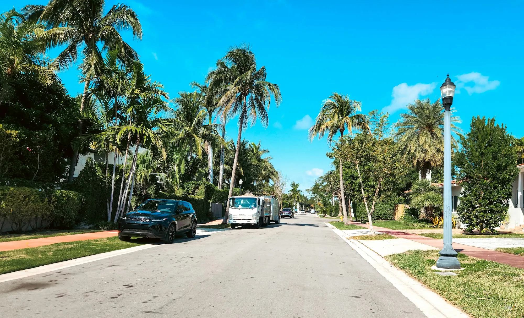 A quiet residential street lined with palms